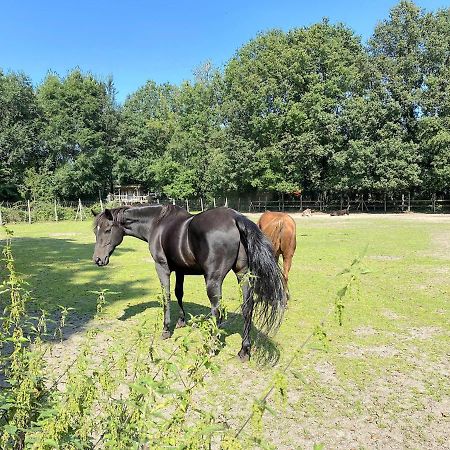 Pipowagen Het Oventje Villa Zeeland Luaran gambar
