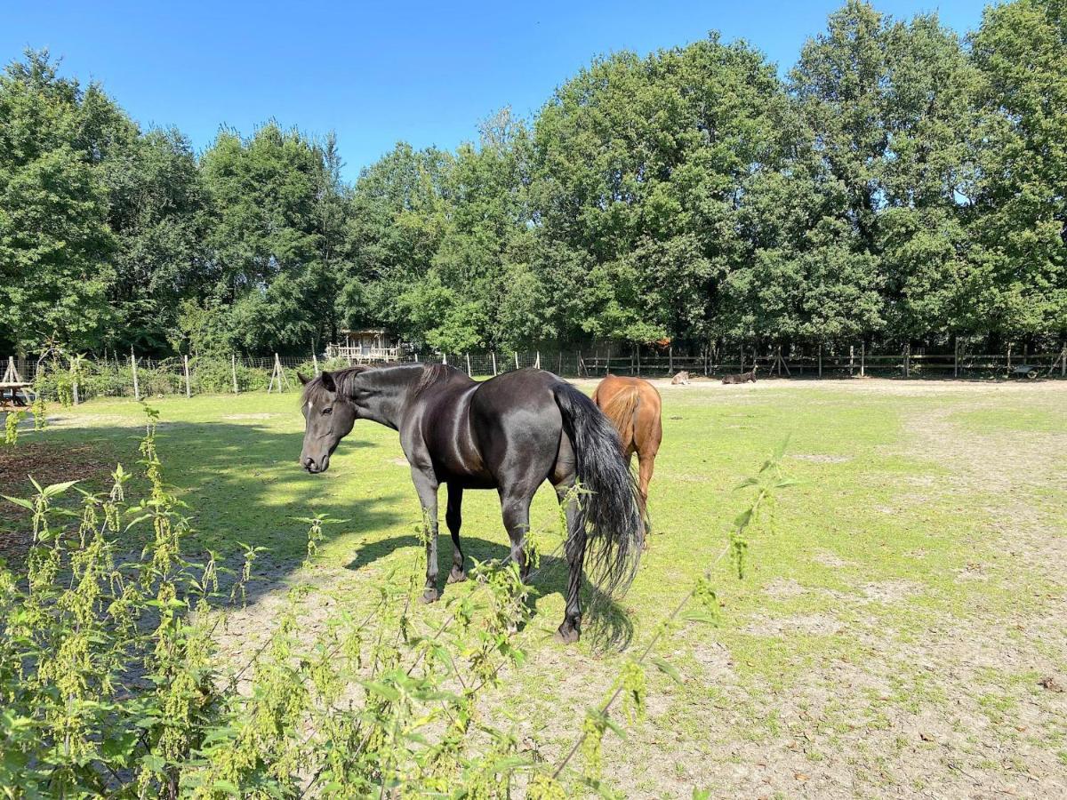 Pipowagen Het Oventje Villa Zeeland Luaran gambar